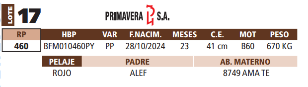 Lote LOTE 17