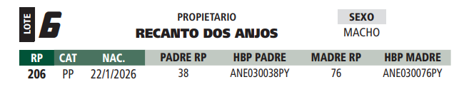 Lote LOTE 6