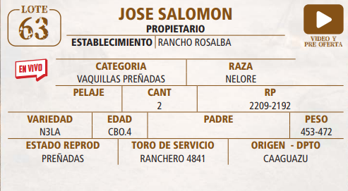Lote LOTE 63 -EN VIVO