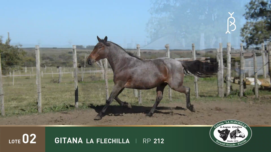 Lote GITANA LA FLECHILLA