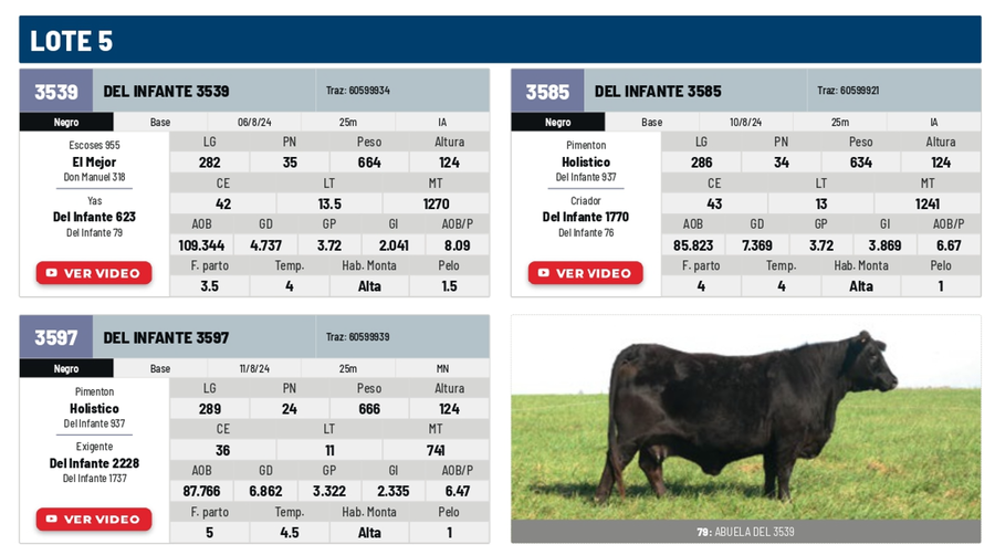 Lote Lote 5