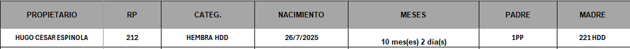 Lote LOTE 22