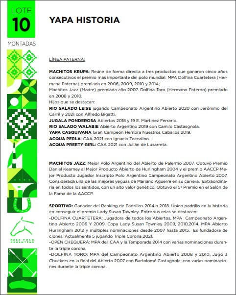 Lote YAPA HISTORIA(MACHITOS KRUPA-ANAY SUR ANGELITA)