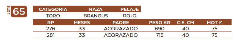 Lote LOTE 65