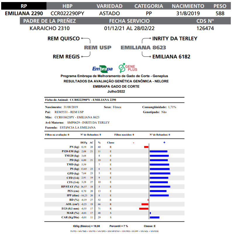 Lote LOTE   37 RP E2290