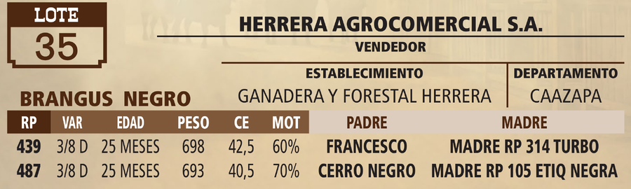 Lote LOTE 35 - VIVO