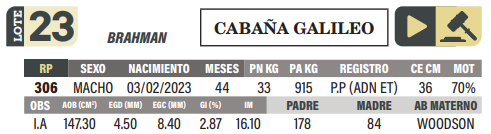 Lote LOTE 23