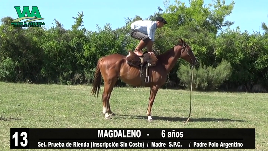 Lote MAGDALENO