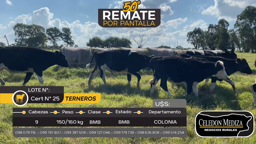 Lote 9 Terneros en Tarariras, Colonia
