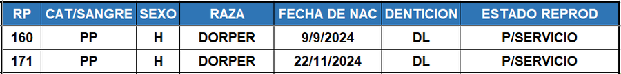 Lote LOTE 5
