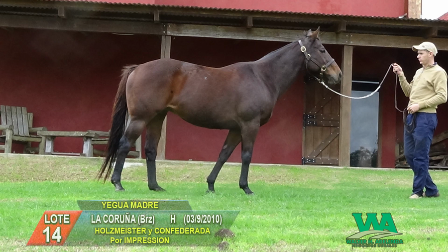 Lote LA CORUÑA (Brz)