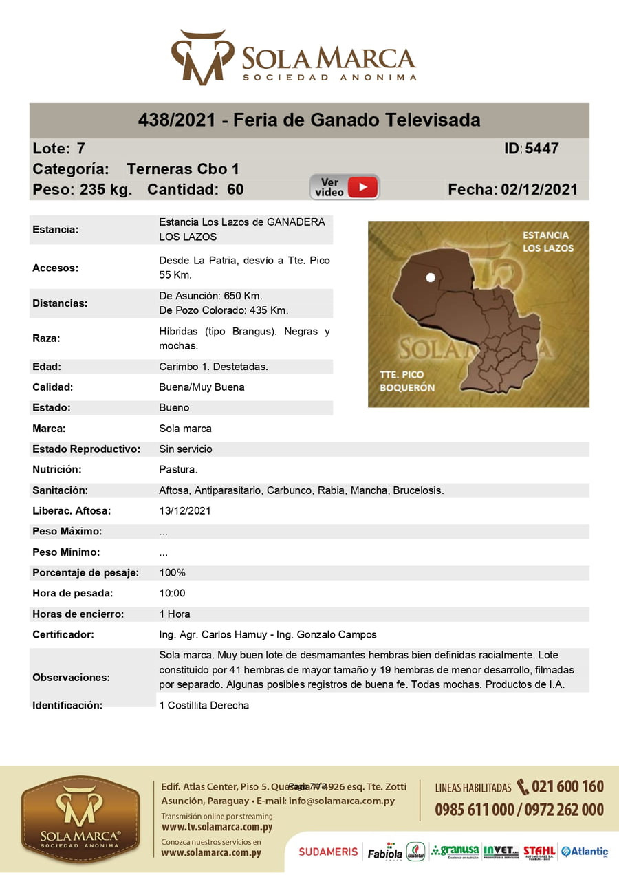 Lote Lote 7