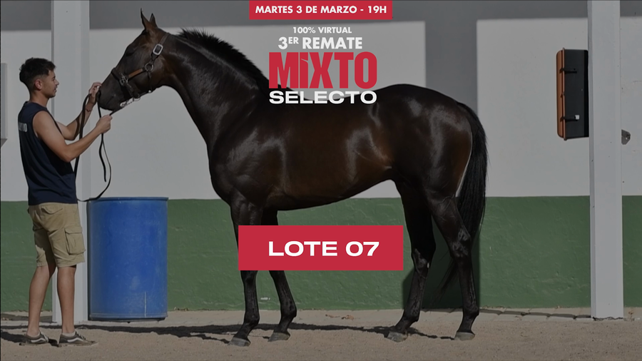 Lote RODOSTAMO (ARG)