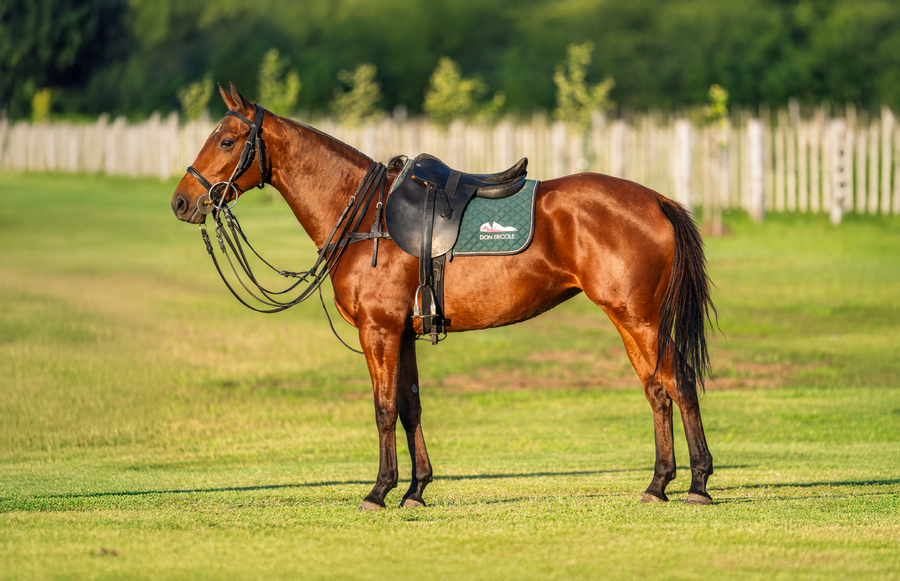 Lote DON ERCOLE SHERLIE