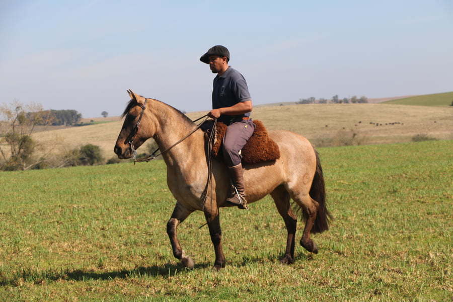 Lote SANTA GLORIA DESPEDIDA