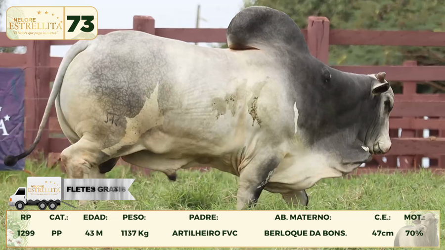 Lote LOTE 73