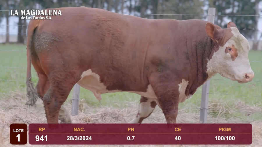 Lote Lote 1 - Hereford