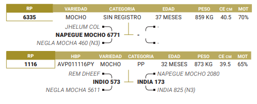 Lote LOTE 64