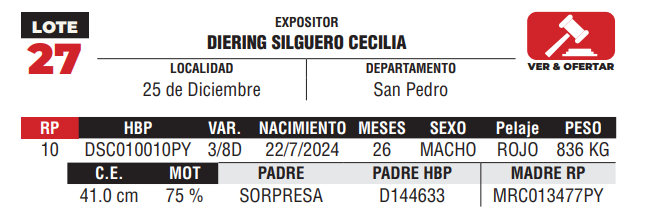 Lote LOTE 27 - DE CAMPO
