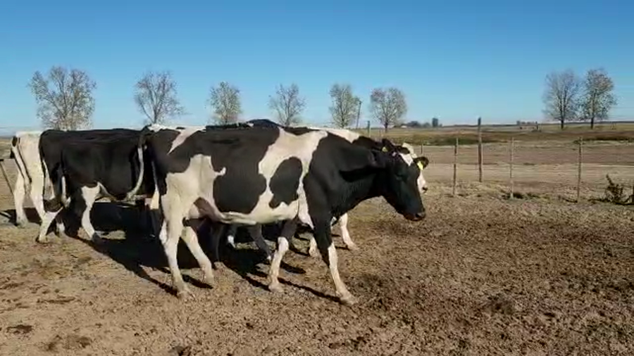 Lote Est. Don Osvaldo - Secas