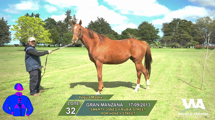 Lote GRAN MANZANA