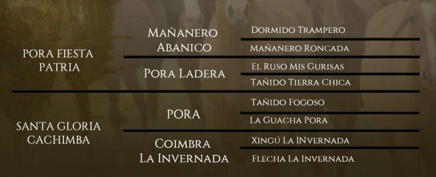 Lote Santa Gloria Roldana