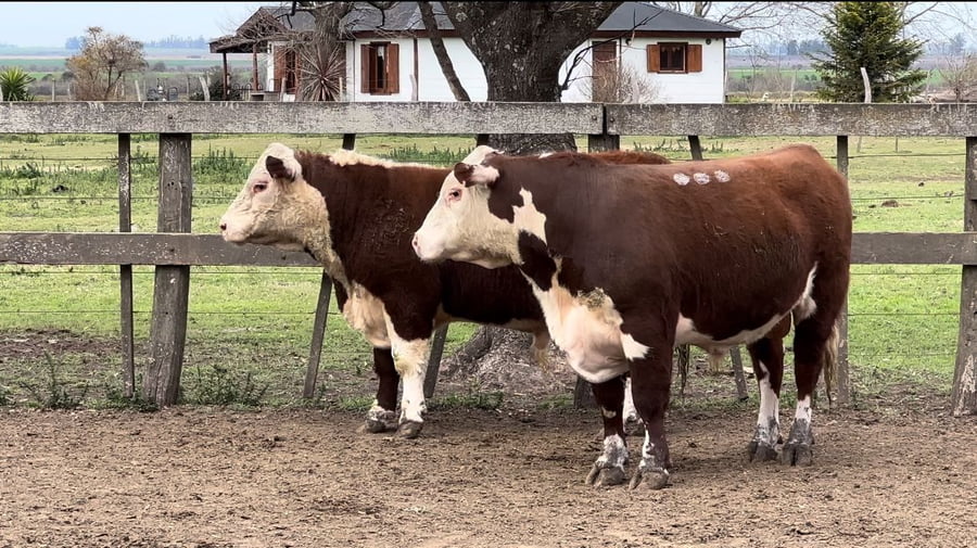 Lote CABAÑA LA RECONQUISTA