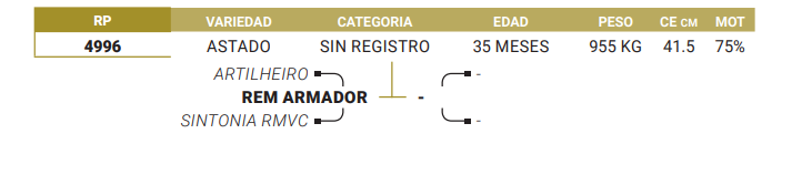 Lote LOTE 14