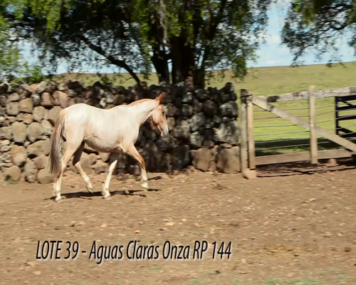 Lote AGUAS CLARAS ONZA
