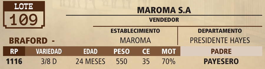 Lote LOTE 109 - VIVO