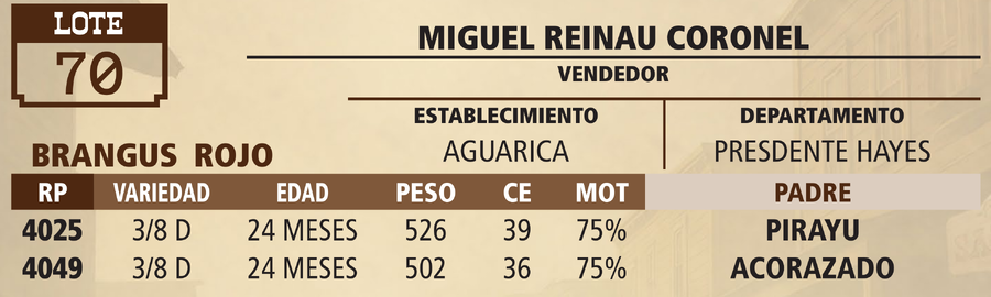 Lote LOTE 70 - PANTALLA