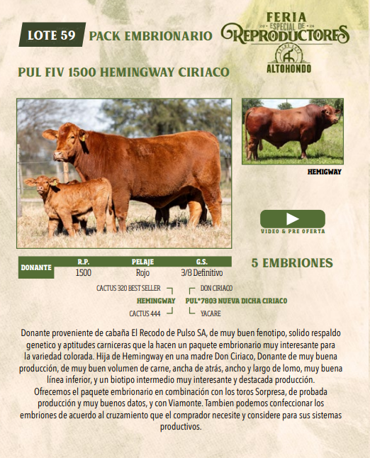 Lote LOTE 59