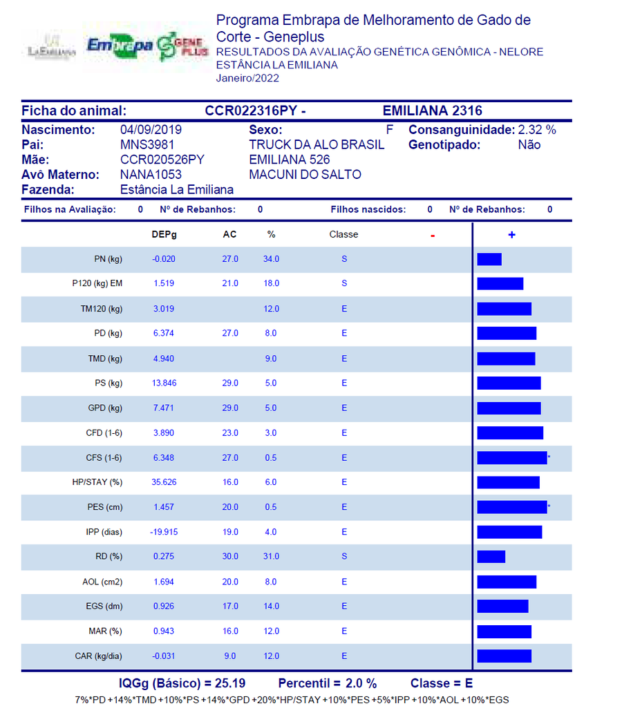 Lote Nacional Nelore Campo - Lote 1