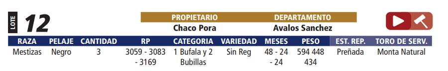 Lote LOTE 12
