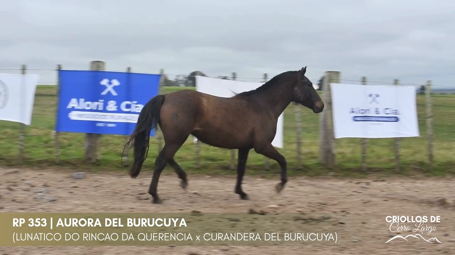 Lote Aurora del Burucuya