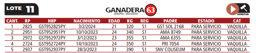 Lote LOTE 11