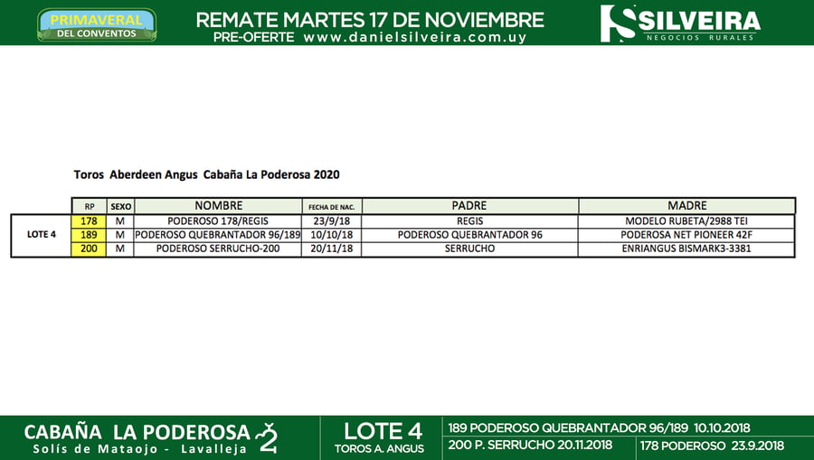 Lote Cabaña La Poderosa