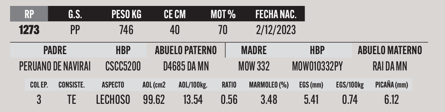 Lote LOTE 16
