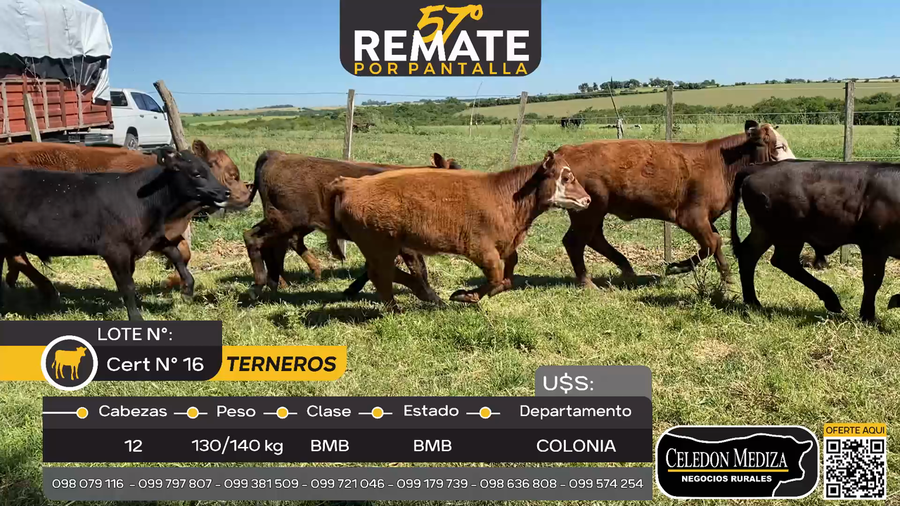 Lote 12 Terneros en Otra Localidad, Colonia