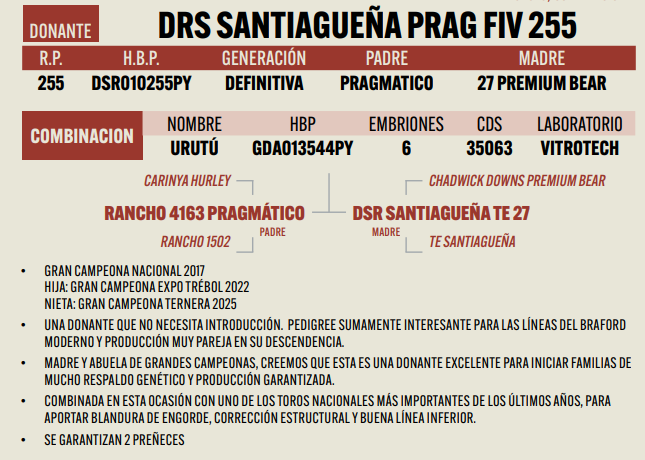 Lote LOTE 5