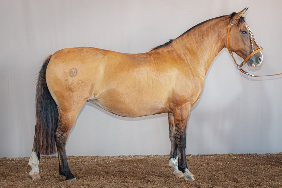 Lote Rincon Muchachita - Cabaña La Higuera