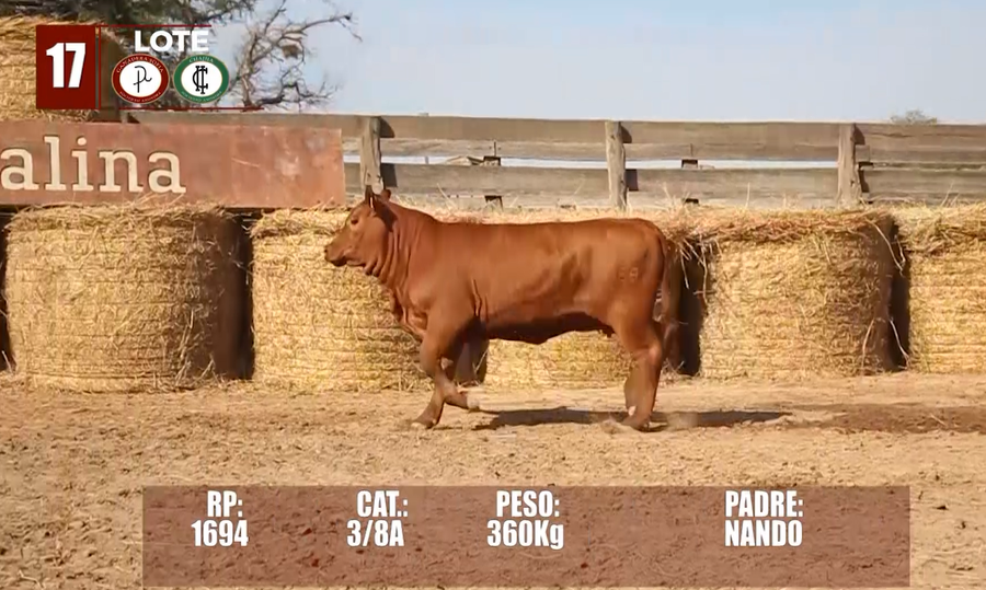 Lote Lote 17 Reserva de Cabaña