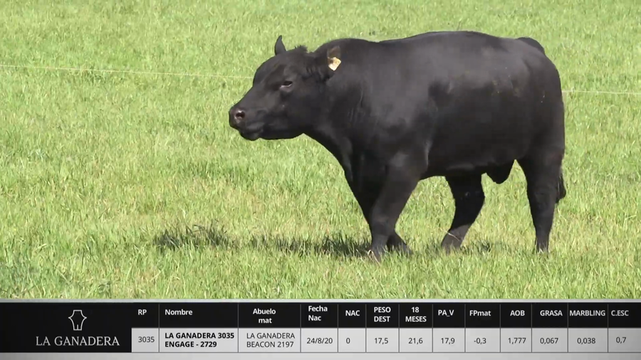 Lote LA GANADERA 3035 ENGAGE - 2729