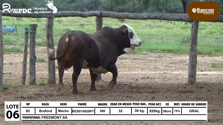 Lote Lote 6