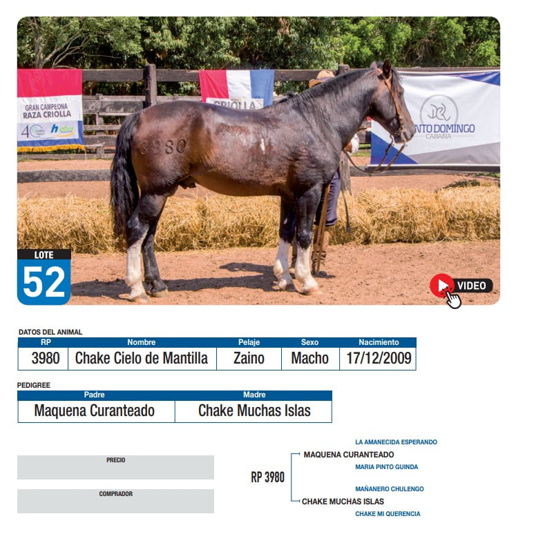 Lote Chake Cielo de Mantilla