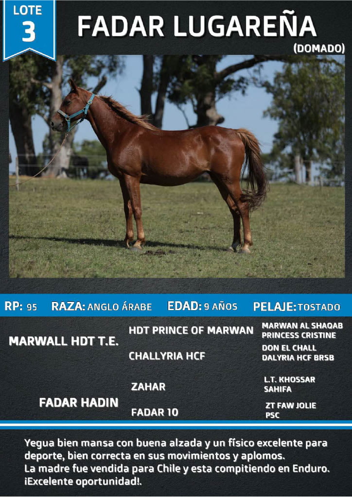 Lote FADAR LUGAREÑA