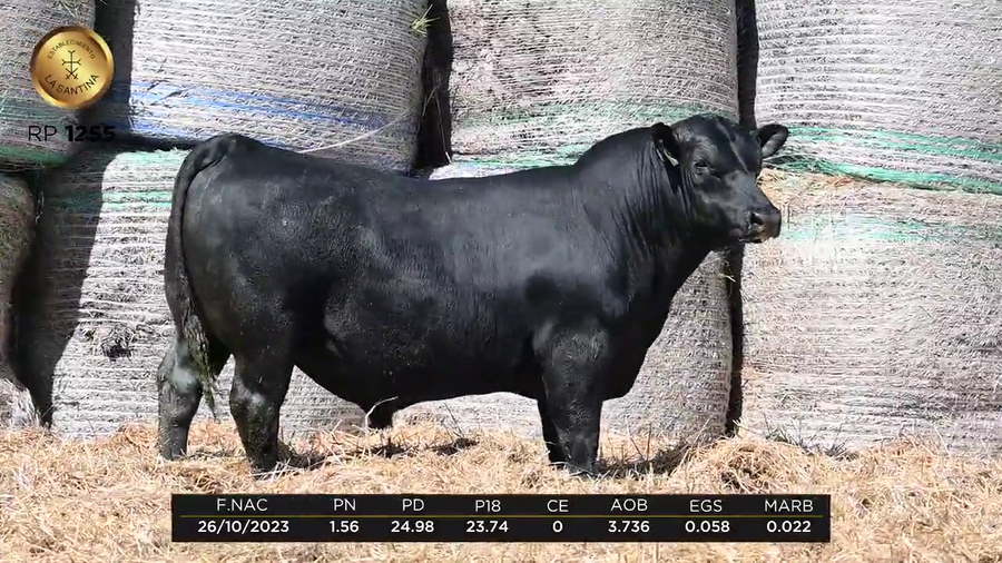 Lote LA SANTINA 4 REAL 603-1255