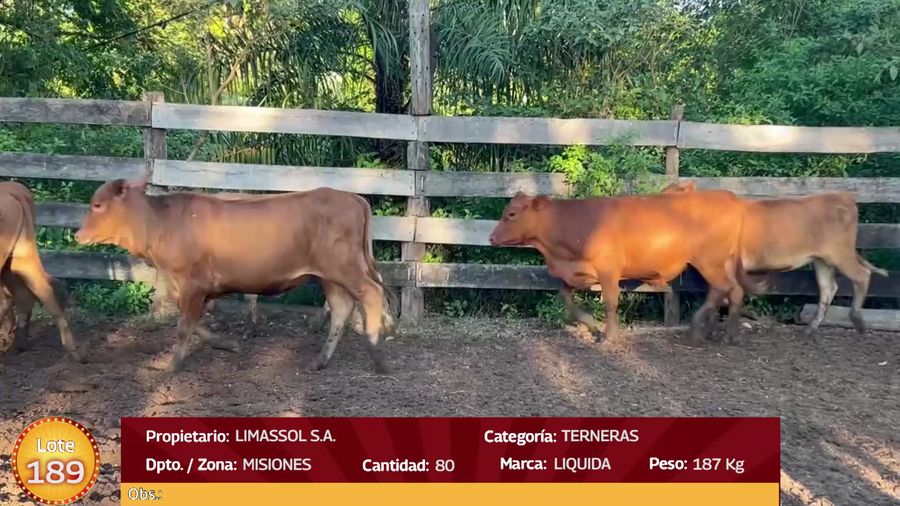 Lote LOTE  189