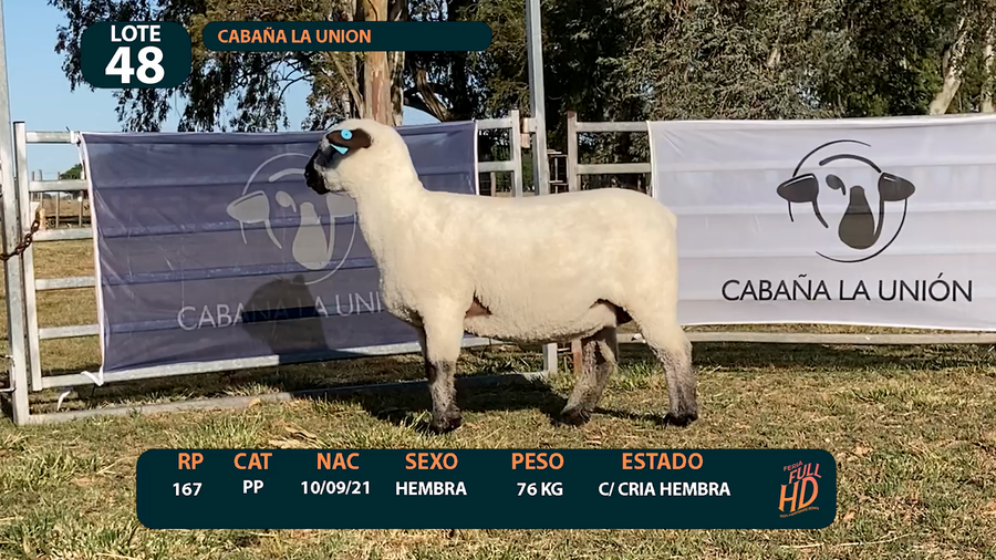 Lote LOTE 48- CABAÑA ARGENTINA