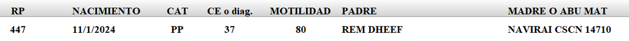 Lote LOTE 41